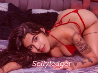 Sellyledger