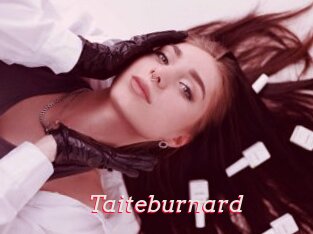 Taiteburnard