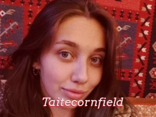 Taitecornfield