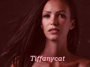 Tiffanycat