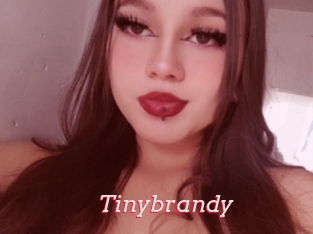 Tinybrandy