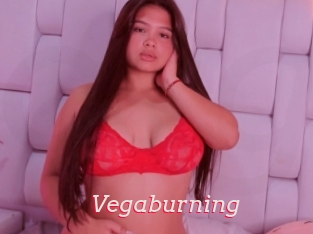 Vegaburning