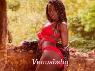 Venusbsbq