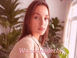 Wandaenderby