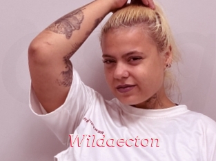 Wildaecton