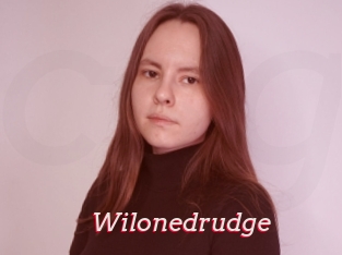 Wilonedrudge