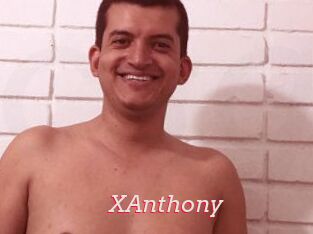 XAnthony